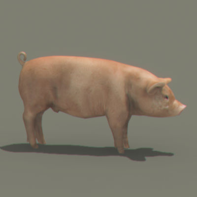3d animals goat pig - Domestic Animals Pack by NONECG