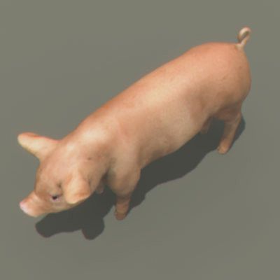 3ds max farm turkey doves - Farm Animals Pack by NONECG
