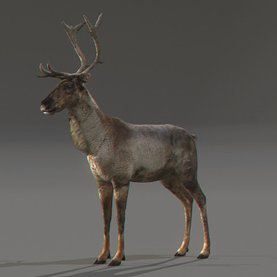 rigged mammals max - Rigged Mammals Megapack by NONECG