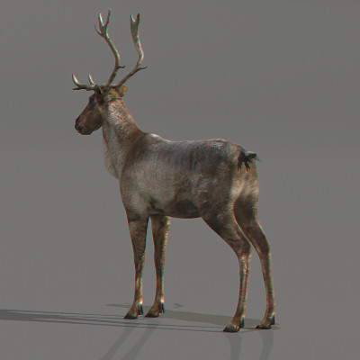 rigged mammals max - Rigged Mammals Megapack by NONECG