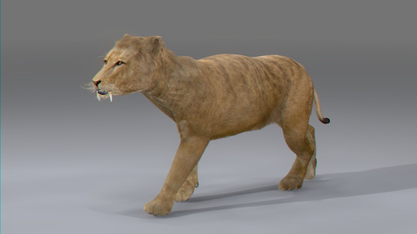 rigged mammals max - Rigged Mammals Megapack by NONECG