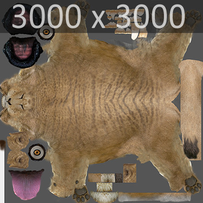 3d rigged animation - Rigged and Animated Felines Pack by NONECG