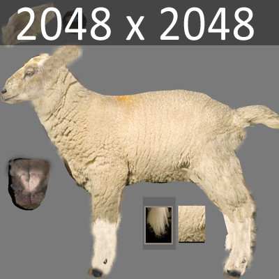 3d model rigged sheep goat - Domestic Animals Rigged Pack by NONECG