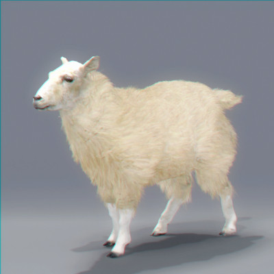 rigged mammals max - Rigged Mammals Megapack by NONECG