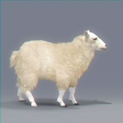 3d model rigged sheep goat - Domestic Animals Rigged Pack by NONECG