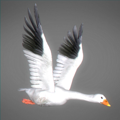 3ds max farm turkey doves - Farm Animals Pack by NONECG