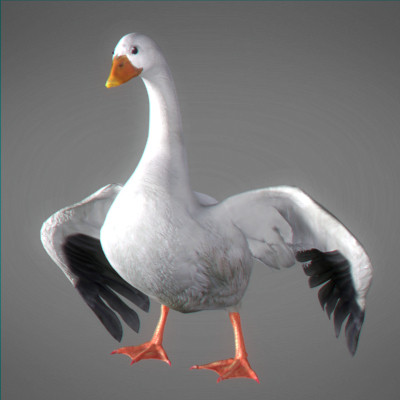 3ds max farm turkey doves - Farm Animals Pack by NONECG
