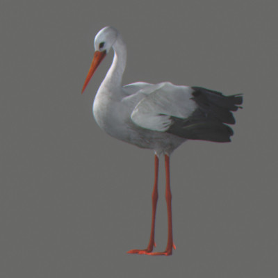 crow flamingo parrots 3d 3ds - Animated Birds Pack by NONECG