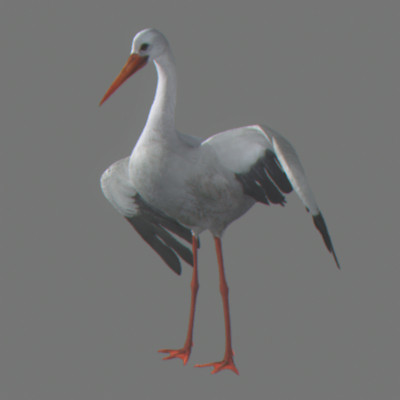 crow flamingo parrots 3d 3ds - Animated Birds Pack by NONECG