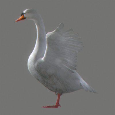 rigged dolphin eagles 3d model - Animated Wildlife MegaPack by NONECG