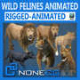 3d lioness animation