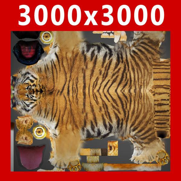 3d rigged animation - Rigged and Animated Felines Pack by NONECG