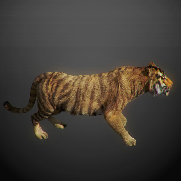 rigged mammals max - Rigged Mammals Megapack by NONECG