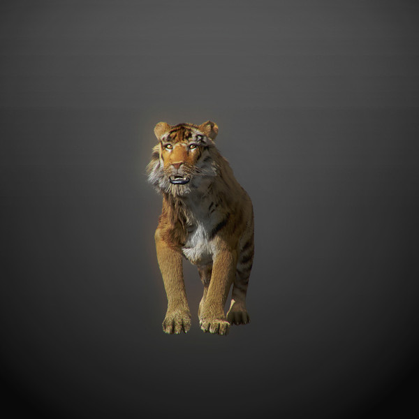 rigged mammals max - Rigged Mammals Megapack by NONECG