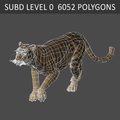 3d rigged animation - Rigged and Animated Felines Pack by NONECG