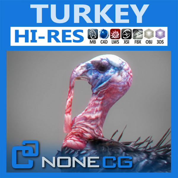 turkey wild hunting 3d model - Turkey by NONECG