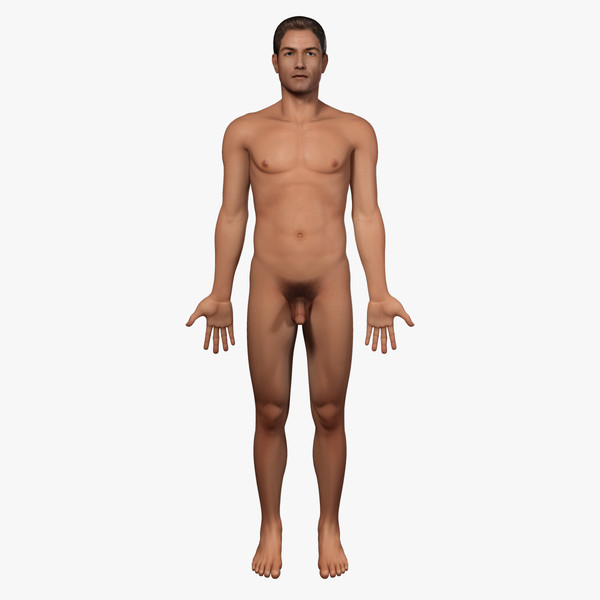 3d male anatomy - integumentary model - Male Anatomy - Integumentary Skin System by IllumeStudio