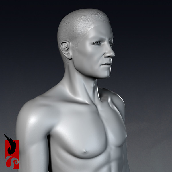 3d male anatomy - integumentary model - Male Anatomy - Integumentary Skin System by IllumeStudio