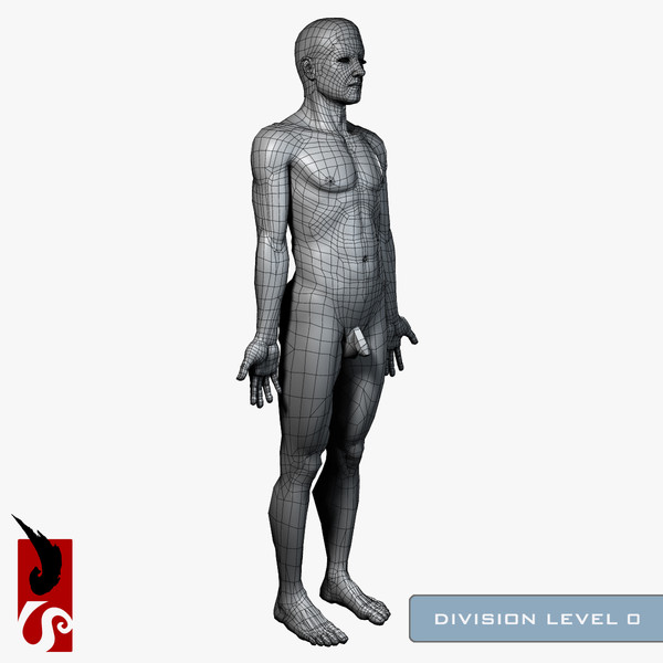 3d male anatomy - integumentary model - Male Anatomy - Integumentary Skin System by IllumeStudio