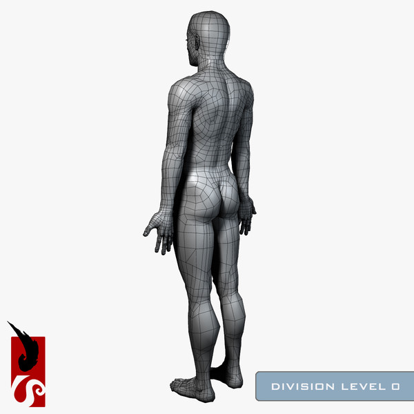 3d male anatomy - integumentary model - Male Anatomy - Integumentary Skin System by IllumeStudio