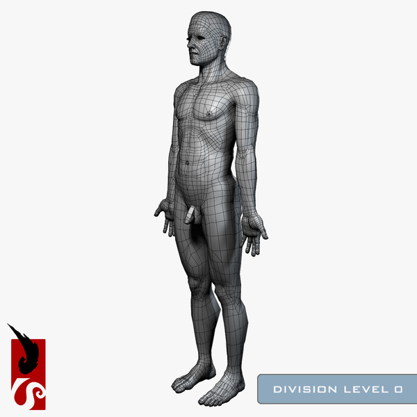 3d male anatomy - integumentary model - Male Anatomy - Integumentary Skin System by IllumeStudio