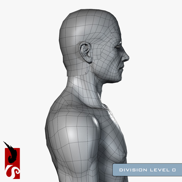 3d male anatomy - integumentary model - Male Anatomy - Integumentary Skin System by IllumeStudio