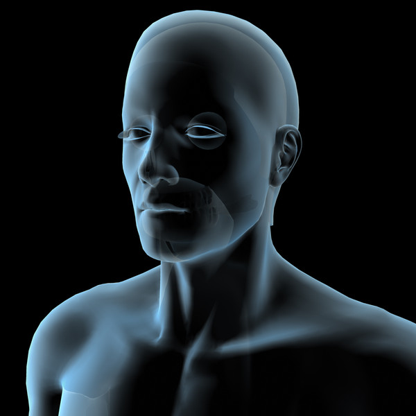 3d male anatomy - x-ray - Male Anatomy - X-Ray Integumentary System by IllumeStudio