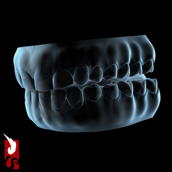 3d male anatomy - x-ray - Male Anatomy - X-Ray Integumentary System by IllumeStudio
