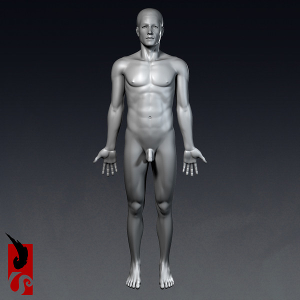 3d male anatomy - x-ray - Male Anatomy - X-Ray Integumentary System by IllumeStudio