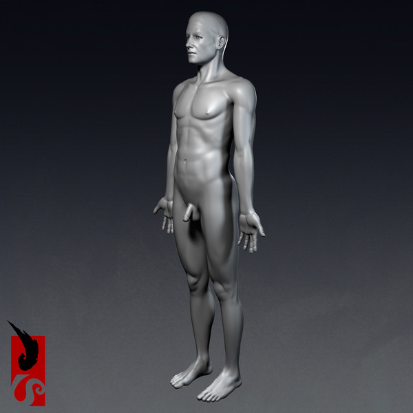 3d male anatomy - x-ray - Male Anatomy - X-Ray Integumentary System by IllumeStudio