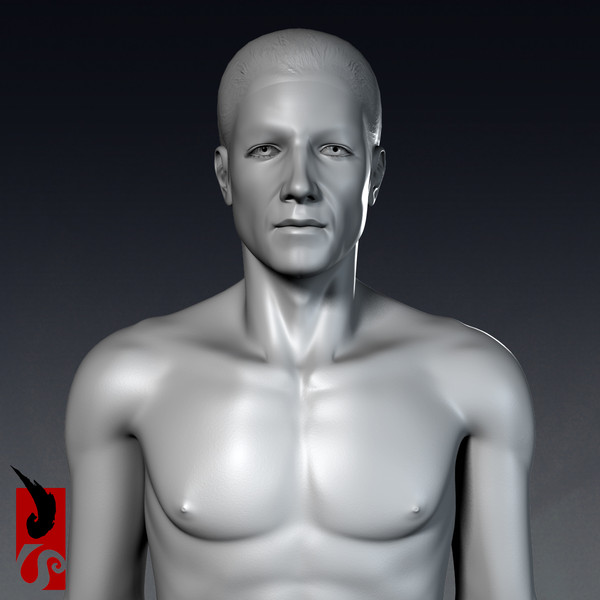 3d male anatomy - x-ray - Male Anatomy - X-Ray Integumentary System by IllumeStudio