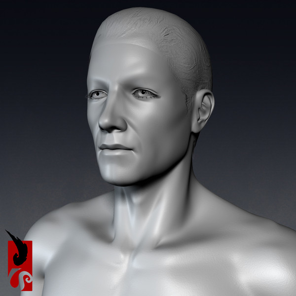 3d male anatomy - x-ray - Male Anatomy - X-Ray Integumentary System by IllumeStudio