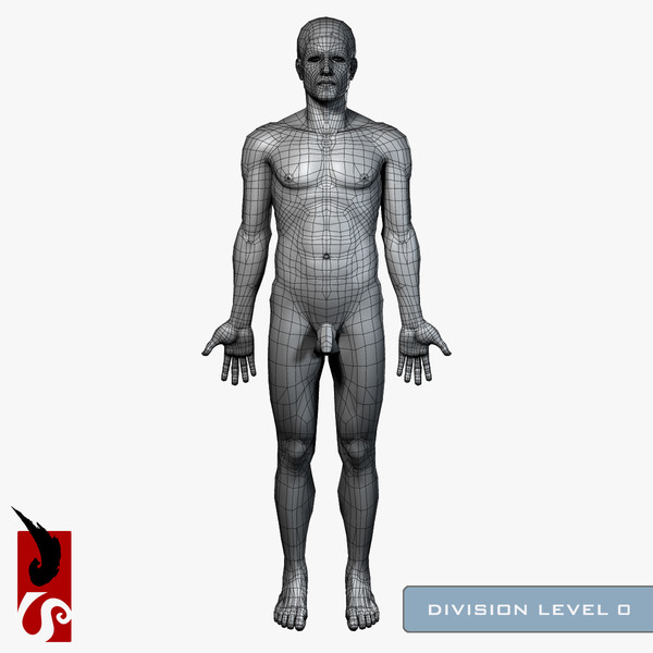 3d male anatomy - x-ray - Male Anatomy - X-Ray Integumentary System by IllumeStudio