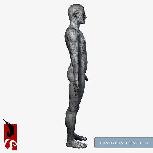 3d male anatomy - x-ray - Male Anatomy - X-Ray Integumentary System by IllumeStudio