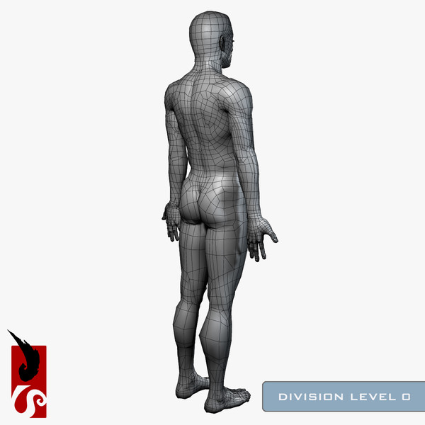 3d male anatomy - x-ray - Male Anatomy - X-Ray Integumentary System by IllumeStudio