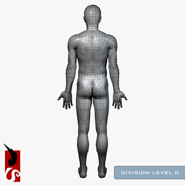 3d male anatomy - x-ray - Male Anatomy - X-Ray Integumentary System by IllumeStudio