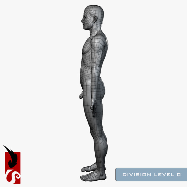 3d male anatomy - x-ray - Male Anatomy - X-Ray Integumentary System by IllumeStudio