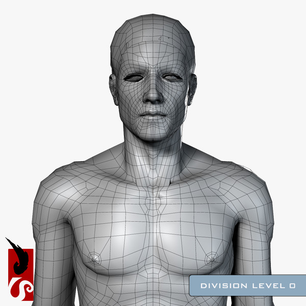 3d male anatomy - x-ray - Male Anatomy - X-Ray Integumentary System by IllumeStudio