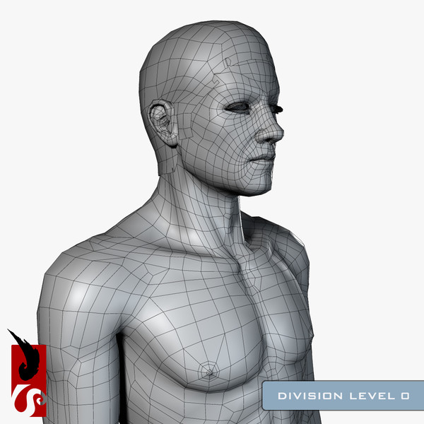 3d male anatomy - x-ray - Male Anatomy - X-Ray Integumentary System by IllumeStudio