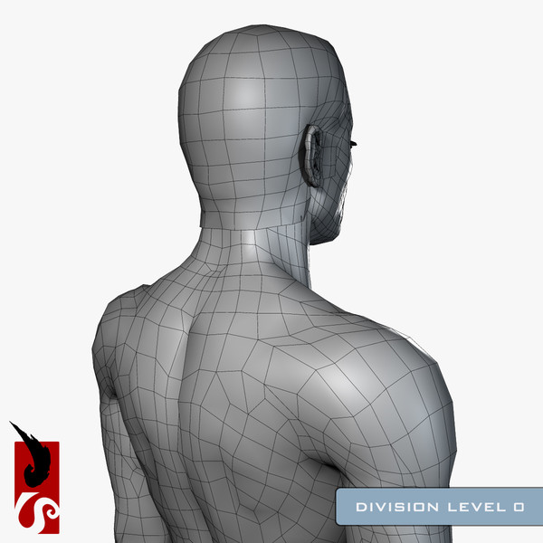 3d male anatomy - x-ray - Male Anatomy - X-Ray Integumentary System by IllumeStudio