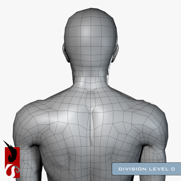 3d male anatomy - x-ray - Male Anatomy - X-Ray Integumentary System by IllumeStudio
