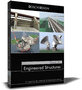 3d engineered structures