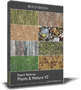 DOSCH Textures - Plants & Nature V2
