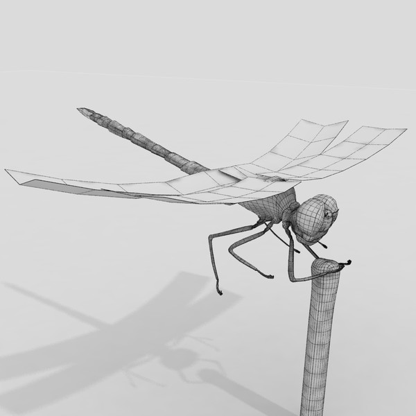 3d dragonfly animation insect - Dragonfly by virtualciti