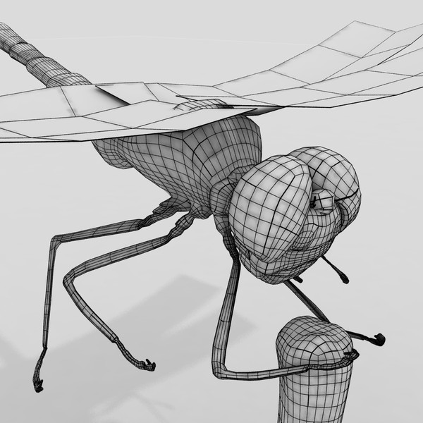 3d dragonfly animation insect - Dragonfly by virtualciti