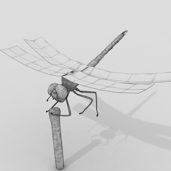 3d dragonfly animation insect - Dragonfly by virtualciti