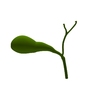 3ds gallbladder 2008