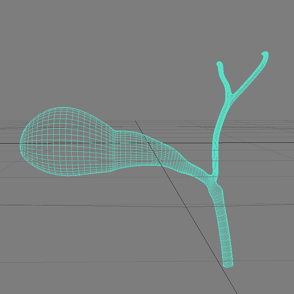 3d model gall bladder - Gallbladder by MotionMediaWorkshop