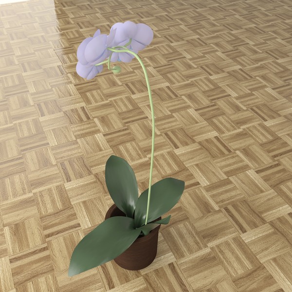 orchid 3d max - Orchid by TheToastMaster