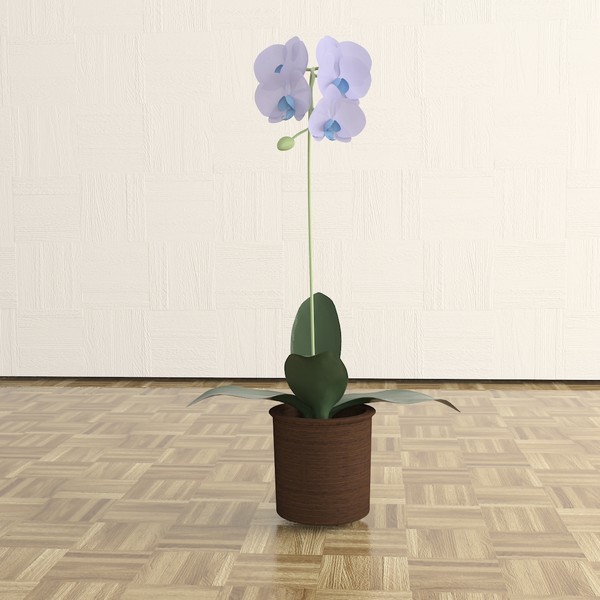 orchid 3d max - Orchid by TheToastMaster
